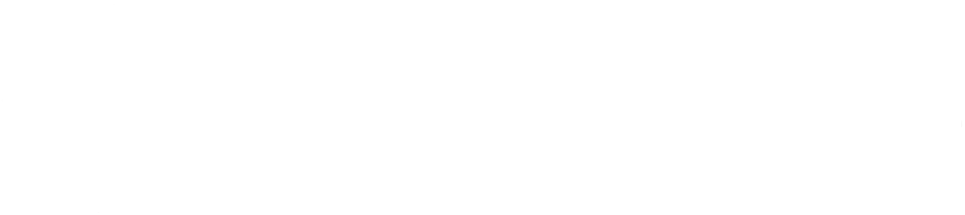 Sumrize